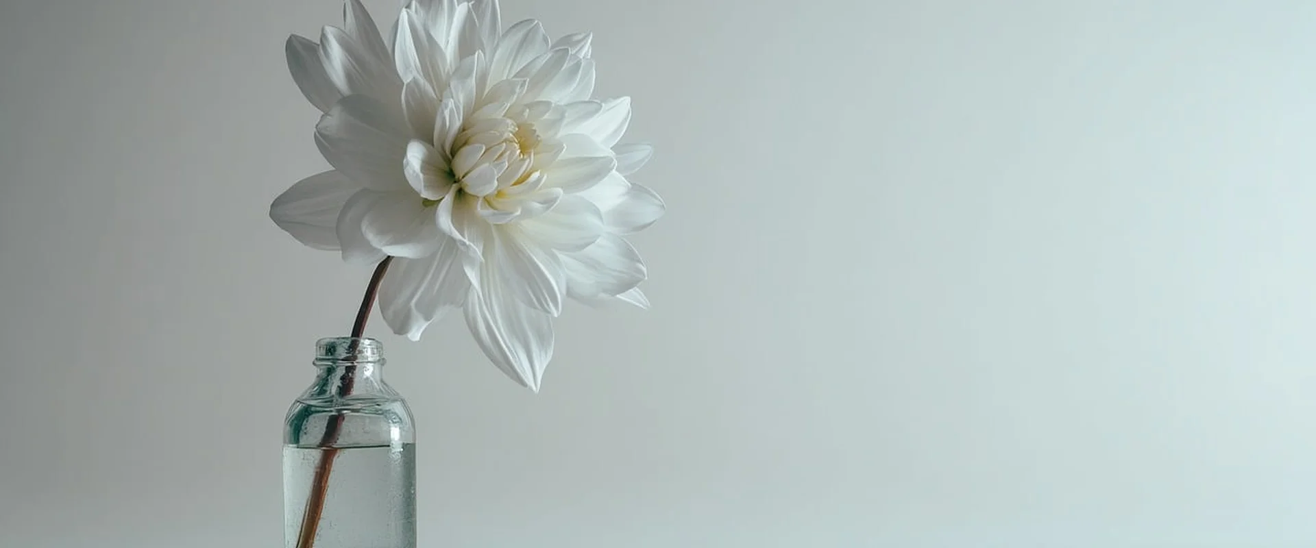 天博体育PG电子